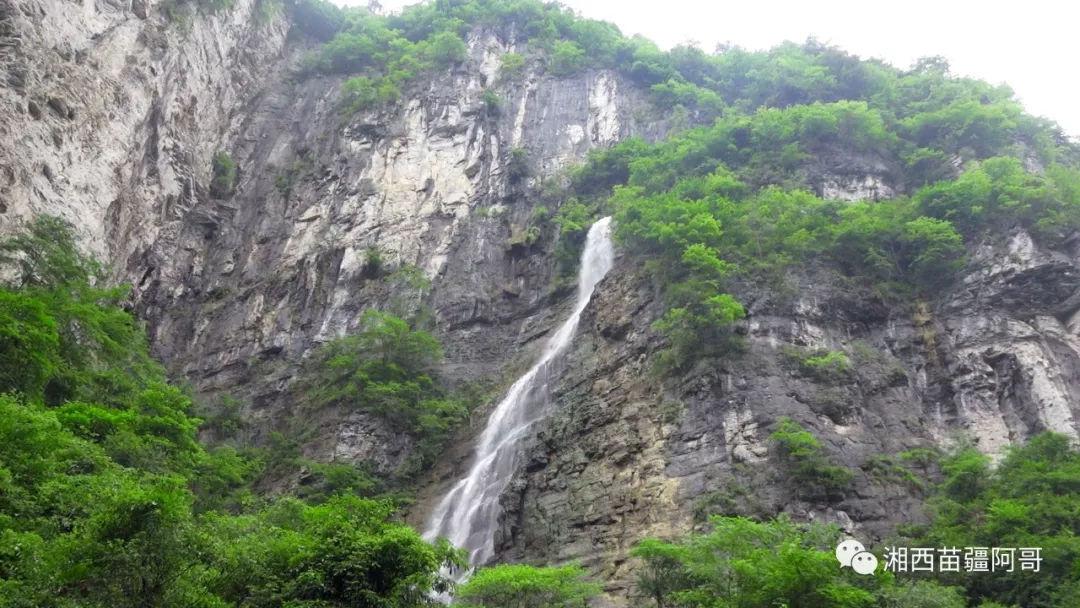 茶叶的寓意游戏画面